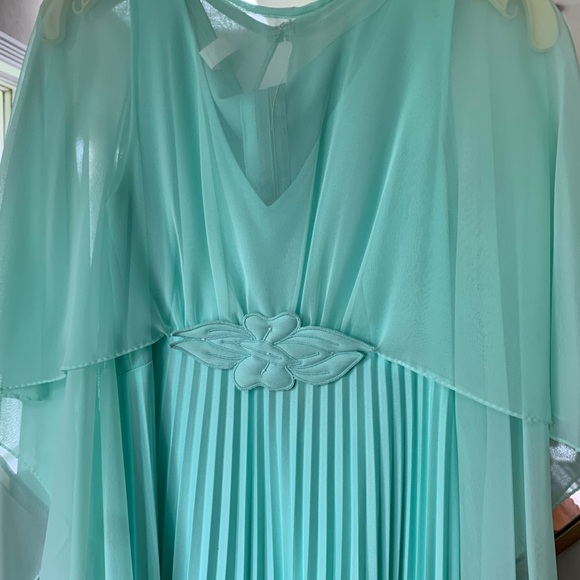 Vintage Mint Green Chiffon Dress - Picture 5 of 9